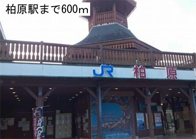 柏原駅：600m