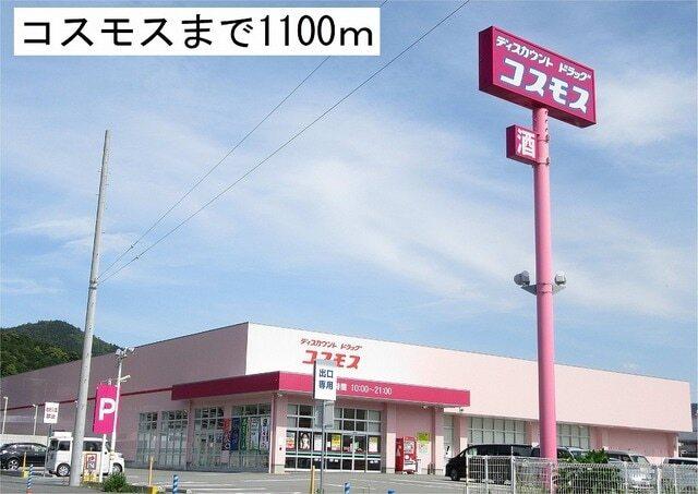 コスモス：1100m