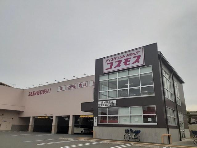コスモス：964m