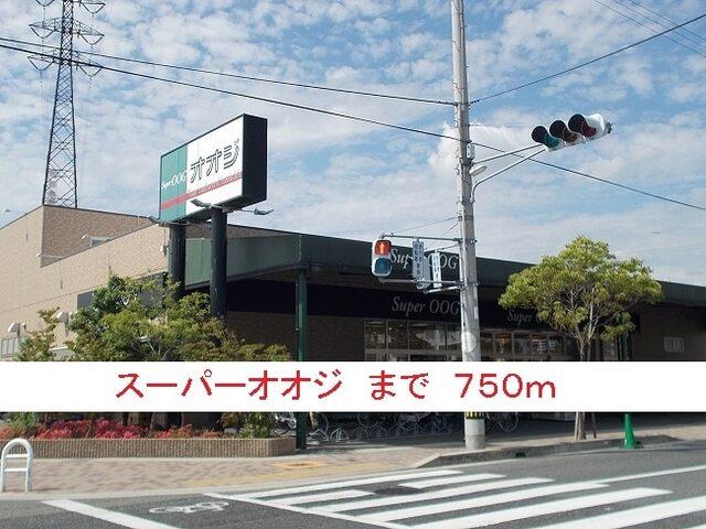 スーパーオオジ：750m