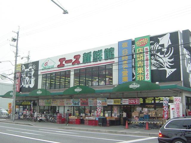 エース新鮮館：20m