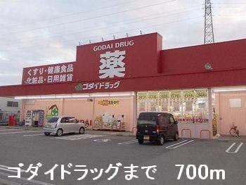 ゴダイドラッグ：700m