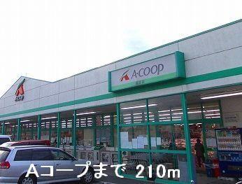 Ａコ−プ：210m