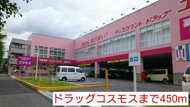 ドラッグコスモス：450m