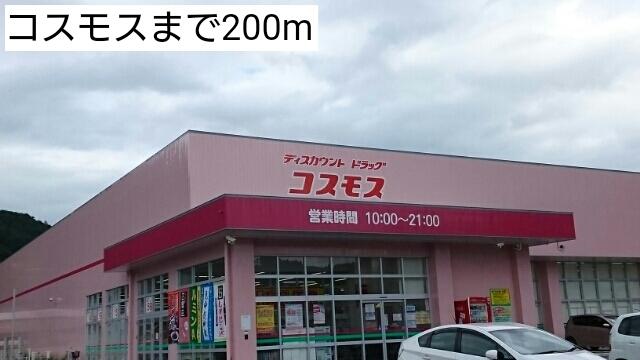 コスモス：200m