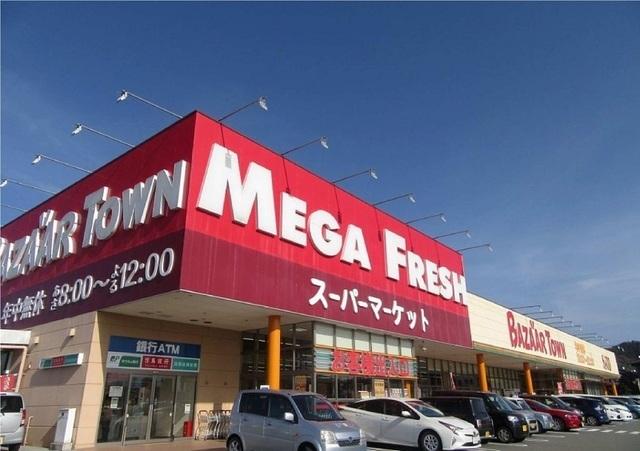 メガフレッシュ：500m