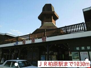 ＪＲ柏原駅：1030m
