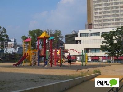 若松公園：803m