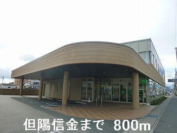 但陽信金：800m