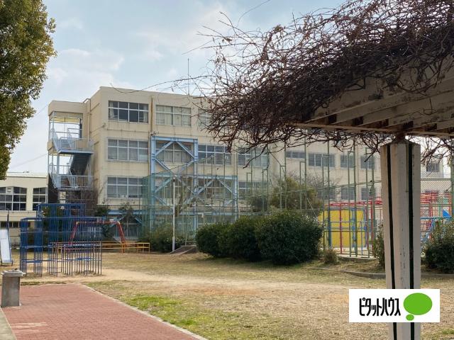 神戸市立御蔵小学校：479m