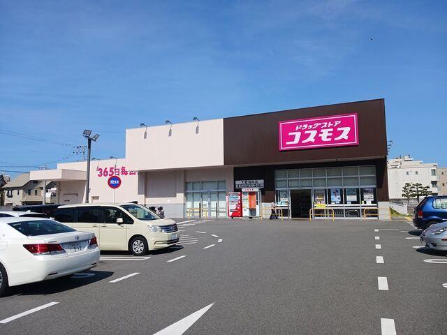 コスモス大蔵海岸店：700m