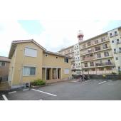お洒落な外観