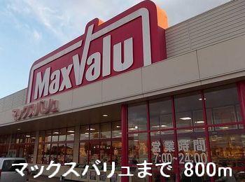 マックスバリュ：800m