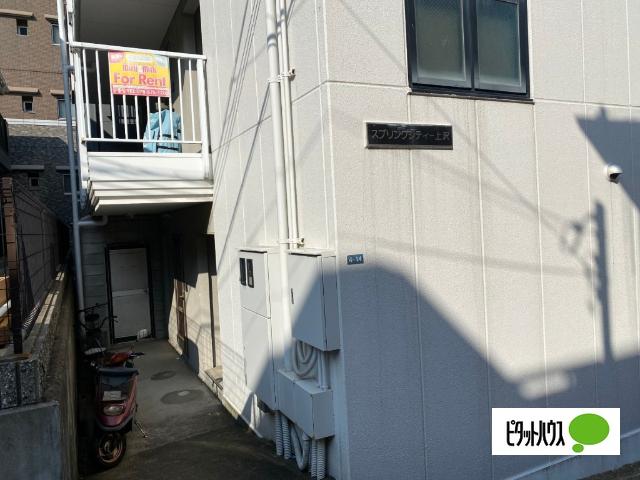 スプリングシティー上沢 物件画像