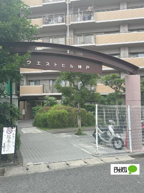朝日プラザＣＩＴＹウエストヒル神戸Ｃ棟 物件画像