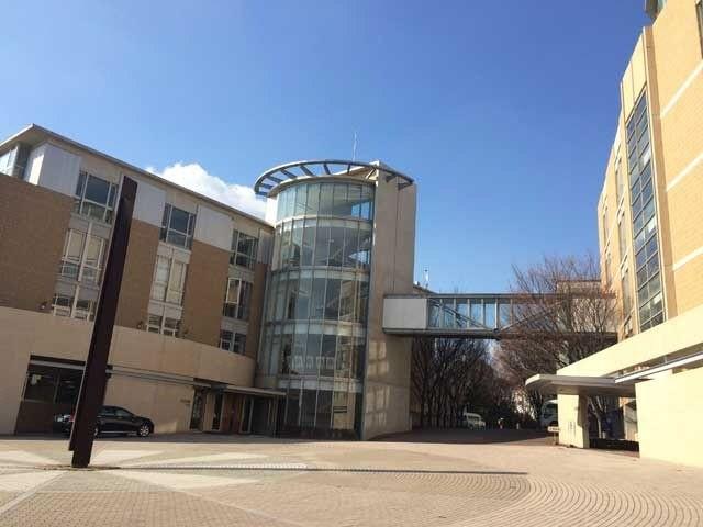 大学