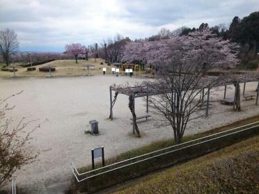 ふれあい公園：950m