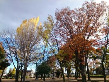 くじら森公園：150m