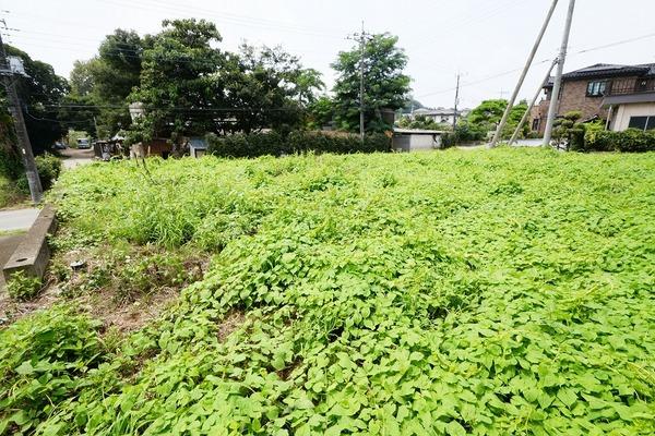☆現地写真☆2017.08撮影
