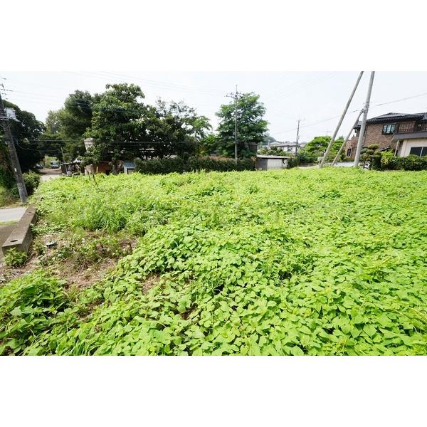 ☆現地写真☆2017.08撮影