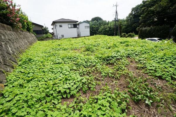 ☆現地写真☆2017.08撮影