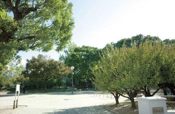 高津公園：989m