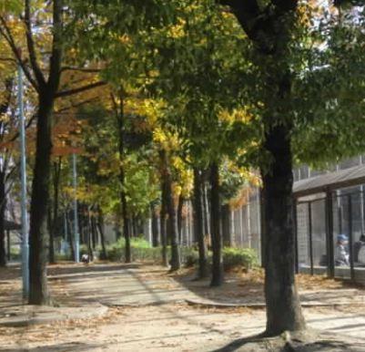 加島中央公園：948m