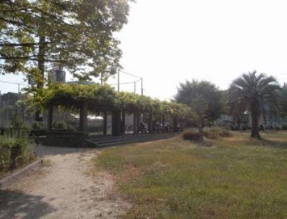 歌島公園：423m