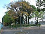 北江口中央公園：1094m