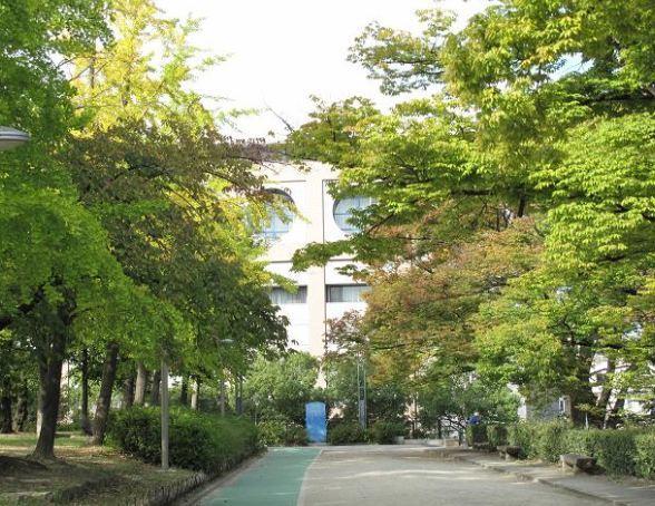 真田山公園：249m