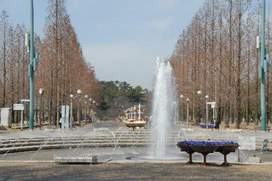 花博記念公園鶴見緑地：915m