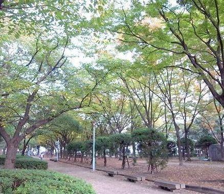 中津公園：1128m