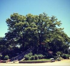 波除公園：845m