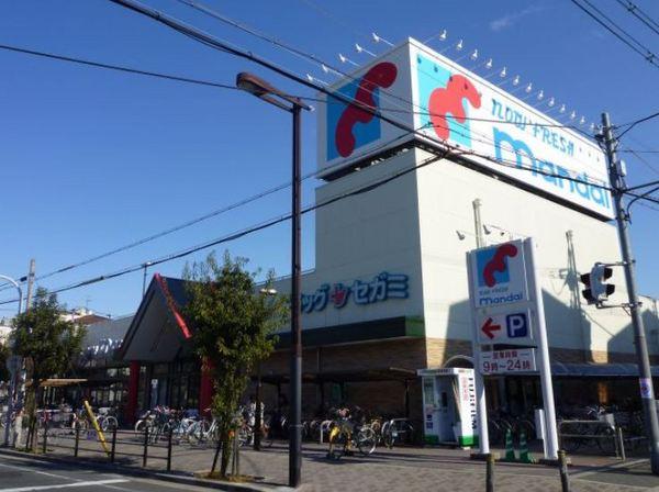 万代巽西店：489m