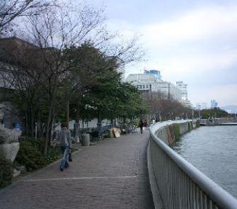 中之島緑道：890m