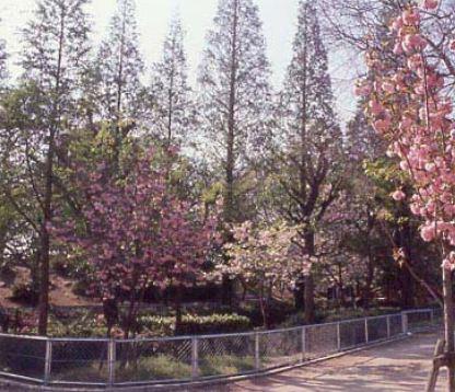 平野公園：1557m