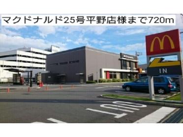 マクドナルド25号平野店様：720m