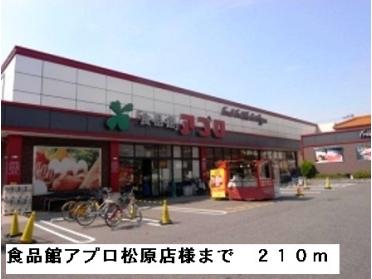 食品館アプロ松原店様：210m