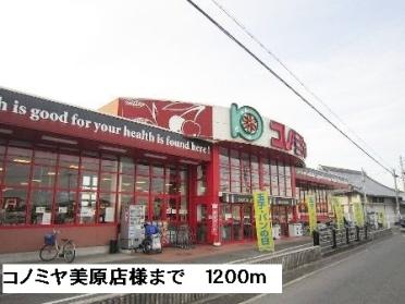 コノミヤ美原店様：1200m