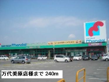 万代美原店様：240m