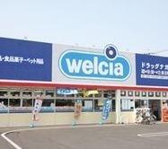 ウエルシア八尾東久宝寺店：469m