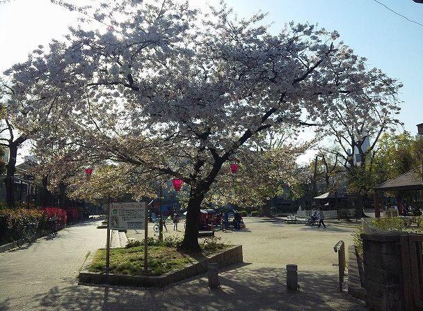 桃谷公園：538m