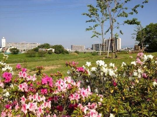 大和川河川公園：399m