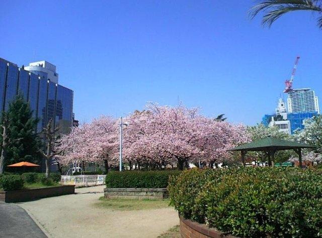 中大江公園：475m
