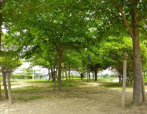 三ノ瀬公園：1191m