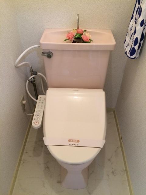 ロイヤルヘルツ（201） 部屋画像