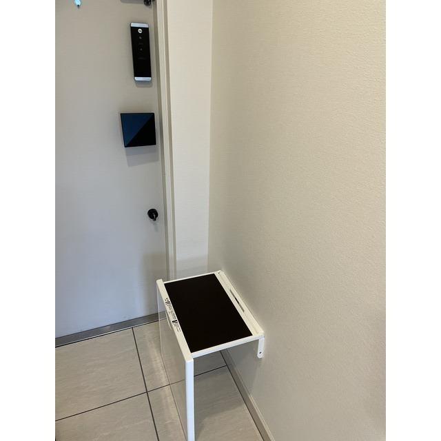 エステムコート北堀江Ⅱ（1101） 玄関