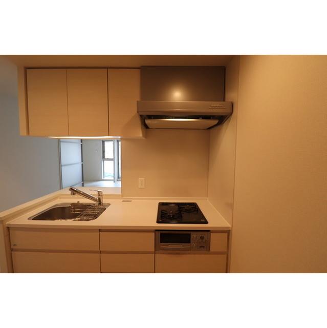 OPUS RESIDENCE SHINSAIBASHI SOUTH（1101） 部屋画像