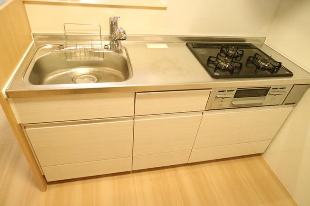 セレナーデ　B棟（101） 部屋画像