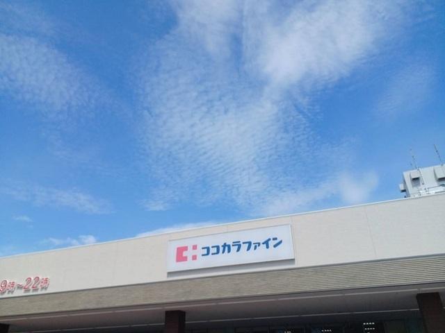 ココカラファイン様：650m